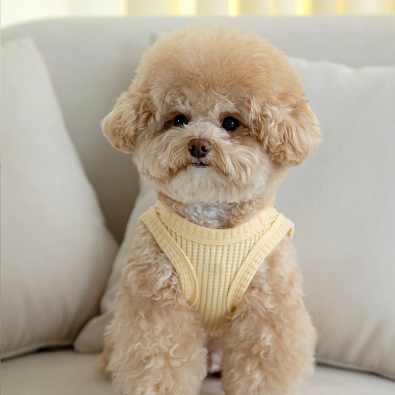 Soft Summer Yellow Clothing - Ropa de gofres amarillos para mascotas,