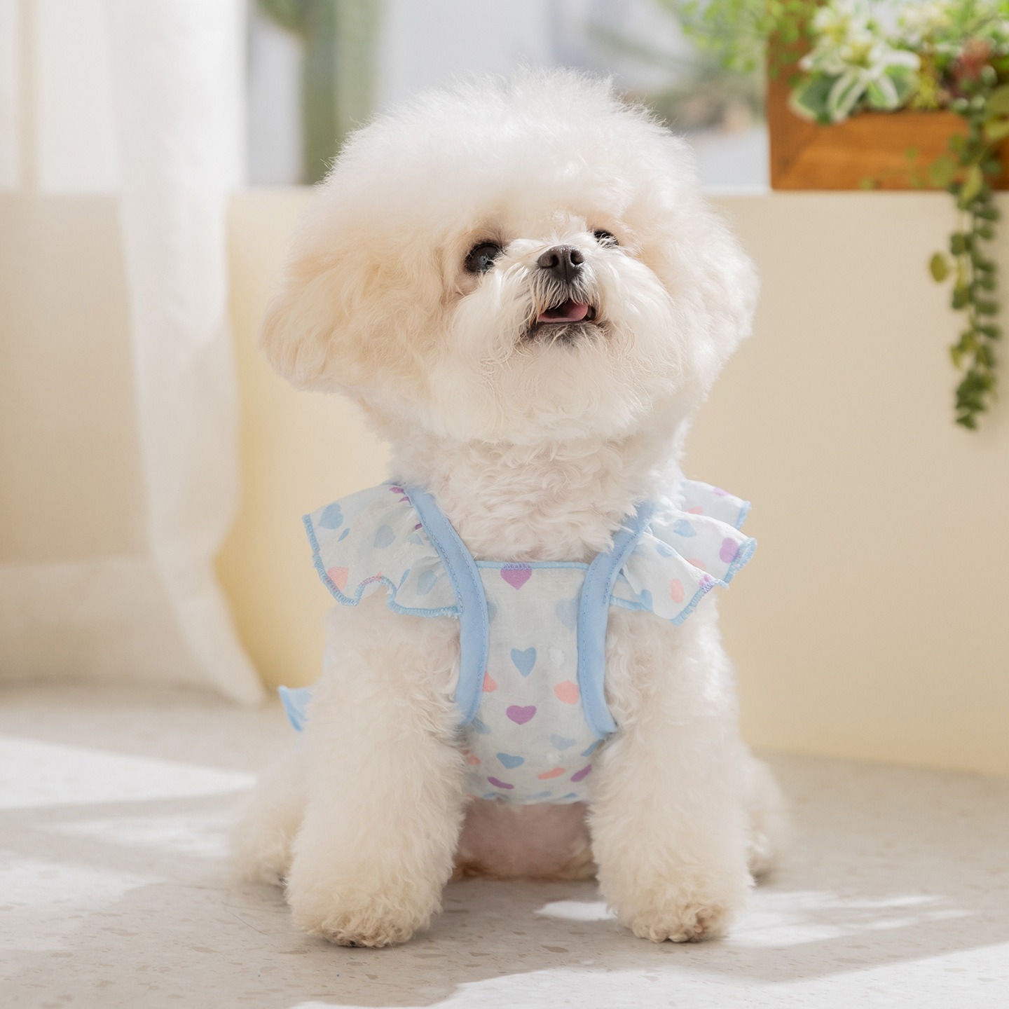 Soft Summer Yellow Clothing - Ropa para Perros Amarilla, Vestido Transpirable