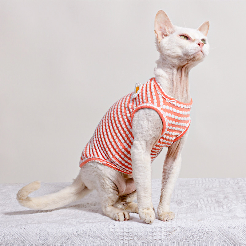 Camiseta de Verano para Gato S - Soft Summer Yellow Clothing reseña y precio